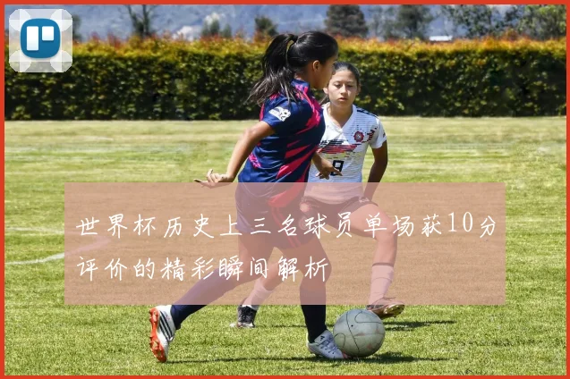 世界杯历史上三名球员单场获10分评价的精彩瞬间解析