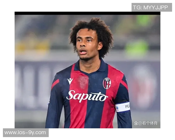 AC米兰未考虑41岁中卫弟媳冬窗回归的可能性